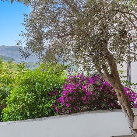 Apartmán Bellavista 22 Puerto de Sóller Exteriér fotografie